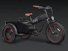 Image result for bicycle sidecar