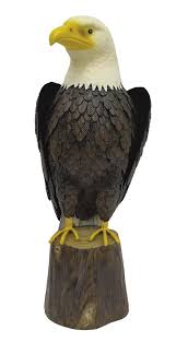 The original at the exposition had a phrygian cap on top of the staff. Enchanted Garden 20 Bald Eagle Statue At Menards