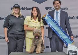 Maybe you would like to learn more about one of these? Breeders Castagnetta