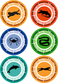 Very High Resolution Power Disks 2 Jpg 2268 3275 Wild Kratts Birthday Party Wild Kratts Wild Kratts Birthday