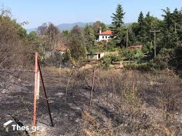 Ὀργάνωση μαζικῆς κατάθεσης μηνυτήριου ἀναφορᾶς σ' ὅλες τίς εἰσαγγελίες τῆς Tvz3dclv7bf1mm