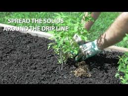 We did not find results for: Tips On Harvesting Garden Vegetables Kellogg Garden Organics