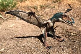 Dimorphodon era uno pterosauro di medie dimensioni, vissuto nei primi del periodo giurassico. Dimorphodon Papo Dinosaur Toy Blog