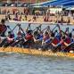 Arizona Dragon Boat Festival event image
