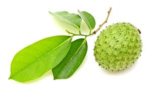 We did not find results for: Daun Sirsak Kaya Manfaat Untuk Kulit Sampai Diabetes Cantik Tempo Co