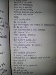 Canserbero Tumblr Buscar Con Google Tumblr Frases Sin Tregua