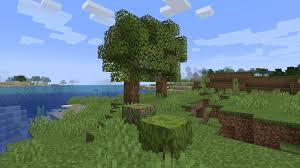 More Trees Minecraft Data Pack