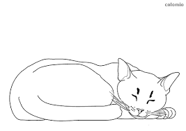 Ours may sometimes sleep that way, but they like a lot of other positions as well. Animal Colouring Pictures Cat Total Update