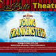 Young Frankenstein - The Mel Brooks Musical event image