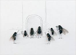 Das Geheime Leben Der Fliegen Amazon De Magnus Muhr Tilman Rammstedt Bucher Fliegen Bilder Leben