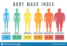 Female Body Mass Index Normal Weight Obesity And Overweight