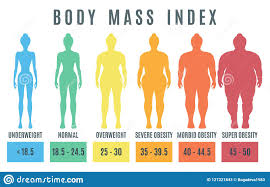 female body mass index normal weight obesity and overweight