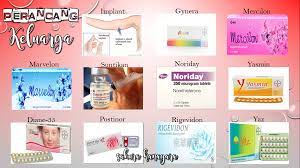 Sedangkan ianya merupakan satu topik yang penting dalam sebuah institusi kekeluargaan. Sakura Hanagara Nak Ambil Perancang Apa