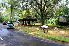 Rencana dasar dalam kampung wisata ternak desa sinar. Taman Safari Indonesia Wikipedia Bahasa Indonesia Ensiklopedia Bebas
