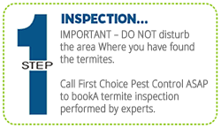 Pest control, lawn care, lawn maintenance, and termite control. Termite Control In Wesley Chapel Fl First Choice Pest Control