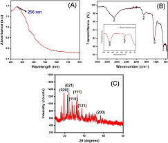 Green synthesis, characterization, antibacterial, and antifungal activity  of copper oxide nanoparticles derived from Morinda citrifolia leaf extract  | Scientific Reports