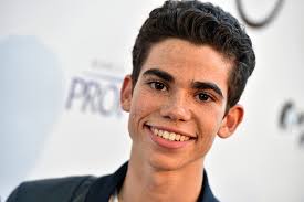 What did cameron boyce appear in? Cameron Boyce Foundation Launches Following Actor S Death