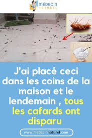 Placez Quelques Feuilles De Cette Plante Dans Chaque Coin De Votre Maison Et Vous Ne Verrez Plus Jamais Un Seul Cafard Cafard Piege Insecte Maison A World