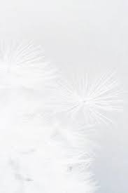 Ecclipsis On Twitter White Wallpaper White Aesthetic Shades Of White