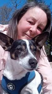 Oscar the Jack Russell terror...old photo..he has been in charge 10 years  now