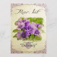 Birthday Flowers On March 1st Cornflower Birthday Flowers Flowers Cornflower