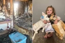 Family Loses Everything They Own in Moving Truck Crash