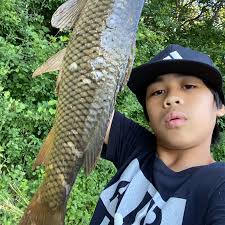 ᐅ Lake Jonathan fishing reports🎣• Chaska, MN (United States) fishing