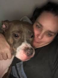 What should I name my pitbull puppy?