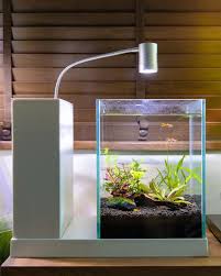 Very Mini Scape Setup Without Filter Aquarium Landscape Fish Tank Aquascape