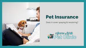 Dog spaying and neutering canine health. Does Pet Insurance Cover Spaying Neutering Aurora North Pet Clinic