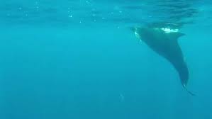 Súbele a tu celular para que...