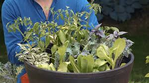 Avoid planting in soggy soil that is still full of moisture from snow or spring rains. Growing Vegetables In Containers Better Homes Gardens