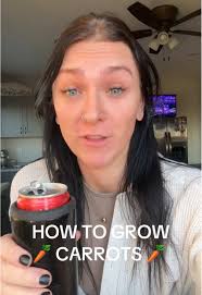 Save this if you’re growing carrots in your garden this year. #gardentok  #gardeningtips #gardenharvest #gardening #seedstarting