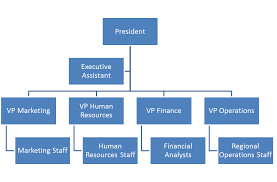 Vertical Horizontal And Matrixed Organizations And Why