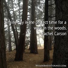 Wilderness Found Into The Woods Quotes Wilderness Quotes Walk In The Woods