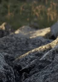 Live kidhalang eko kondho prisdianto di kediaman bpk. Collared Pika Gif By Head Like An Orange