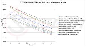 I already have a custom 6.5 cm and a custom 22 br. Stopping Power Of The 338 Lapua Magnum Vs 300 Wm Lapua 300 Win Mag 338 Lapua Magnum