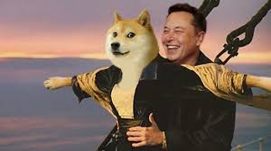 Elon musk has again touted dogecoin, saying the meme cryptocurrency is 'literally' going to the moon after buying an undisclosed amount for his young son. Bitcoin Dogecoin On Rapids And Elon Musk Kaggle
