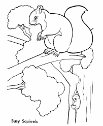 Free, printable mandala coloring pages for adults in every design you can imagine. Tree Squirrels Coloring Page Squirrel Coloring Page Animal Coloring Pages Squirrel Coloring Page Coloring Pages