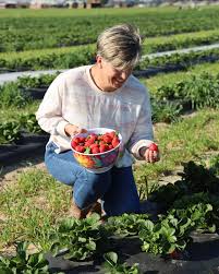 🌾💪 Happy National Women in Ag Day! Mary Jane Parker is proudly ...