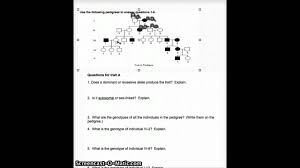 Pedigree Analysis Worksheet Answers