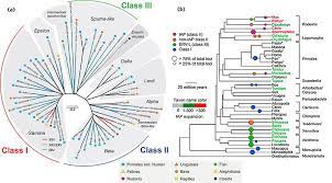 &gamma греческая заглавная gamma, u+0393 isogrk3. A The Seven Retroviral Genera Alpha Beta Gamma Delta Download Scientific Diagram