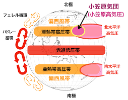 色と形で気象予報士！