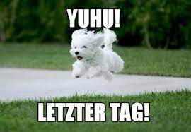 The best meme pics on the web. Meme Creator Funny Yuhu Letzter Tag Meme Generator At Memecreator Org