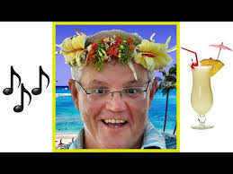 The Scomo Pina Coladas In Hawaii Song Youtube
