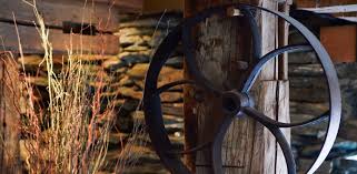 Hen Of The Wood Wood Waterbury Vermont