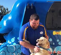 I finally found a groomer local and close to me. Blue Wheelers Aldinga Beach Mobile Dog Grooming