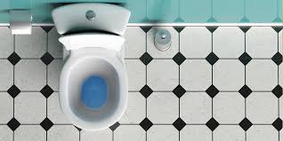 Pour baking soda into the toilet first, and then follow with the cup of vinegar, but be careful, and do this slowly. How To Use A Plunger To Unclog A Toilet Neighbourhood Plumbing