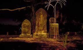 We did not find results for: Why Are The Cabbage Trees Dying New Zealand Geographic