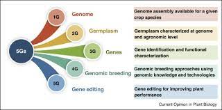 I semester mendelian genetics techniques in cell biology cytology. 5gs For Crop Genetic Improvement Sciencedirect